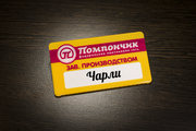 Бейдж пластиковый